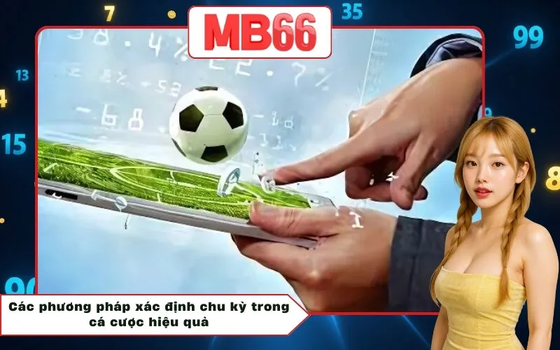 Các phương pháp xác định chu kỳ trong cá cược hiệu quả