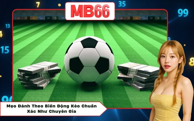 Mẹo Đánh Theo Biến Động Kèo Chuẩn Xác Như Chuyên Gia